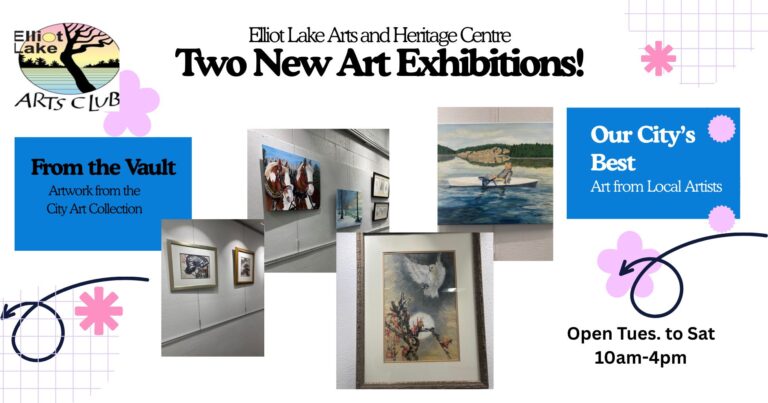Art Exhibition